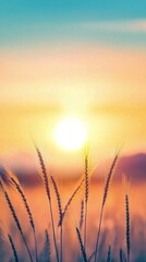 Canvas Print - Golden wheat fields sway gently in the warm sunlight during early evening hours