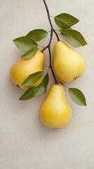 Canvas Print - Fresh yellow pears hanging on a branch against a soft neutral background