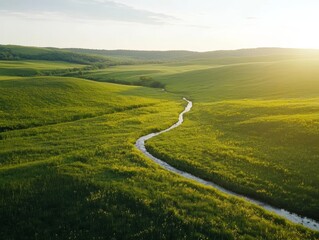 Aufkleber - The image captures the serene beauty of a grassy field, where a gentle stream flows through, surrounded by vibrant wildflowers. The soft light enhances the landscape's tranquility