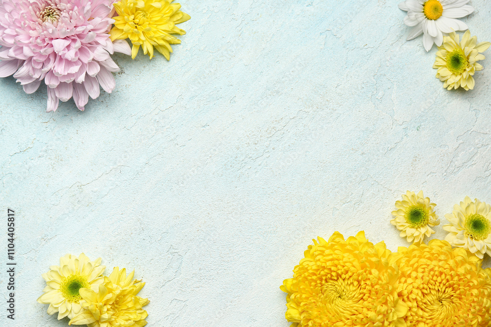Frame made of beautiful chrysanthemum flowers on light blue background