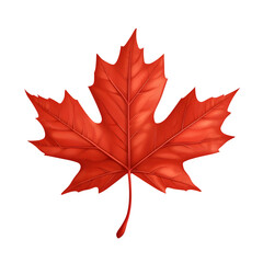 Leinwandbilder - Canadian identity: isolated red maple leaf on transparent background - ideal for nature, autumn, and canada-themed projects