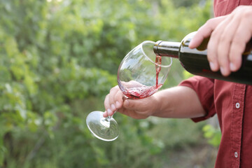 Wall Mural - Man pouring tasty wine from bottle into glass outdoors, closeup. Space for text