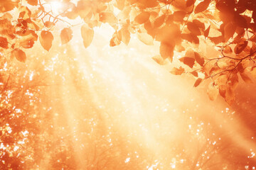 Wall Mural - Dense autumn forest texture, overlapping orange and red leaves with scattered sunlight breaking through