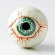 © PPS - Close-up of a realistic artificial eyeball with visible blood vessels and a teal iris against a white background.