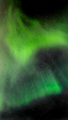Wall Mural - vertical panorama of green and yellow aurora in a dark starry night sky