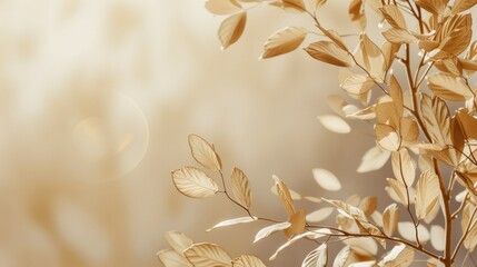 Wall Mural - Autumn screensavers in beige with minimal aesthetic