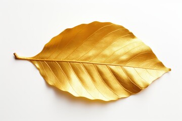 golden leaf on a white background for elegant decor