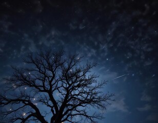 dark blue night sky with twinkling stars and silhouetted tree branches, dark blue, nature, tree bran