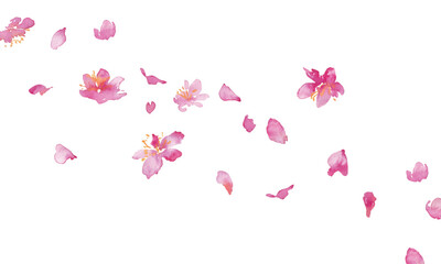 水彩画。水彩タッチの桜のベクター背景。桜の和風背景。梅の花の手書きベクターイラスト。高級感のある和風素材。watercolor painting. cherry blossoms vector bac