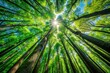 © StudioATC - Serene Forest Canopy: A Minimalist View of Tall Trees with Sunlight and Green Leaves