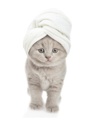 Aufkleber - Funny kitten with towel on it head stands in front view and looks at camera. isolated on white background