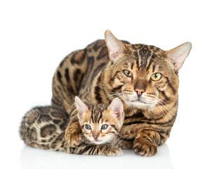 Fototapete - Adult bengal cat hugs tiny kitten. isolated on white background