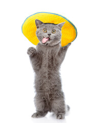 Poster - Happy cat wearing sunglasses and summer hat stands on hind legs and sticks out tongue. isolated on white background