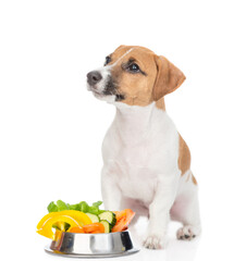 Aufkleber - jack russell terrier puppy sits with bowl of vegetables. isolated on white background