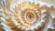 © sujitea - Intricate Close-up of a Spiraled Natural Shell Arrangement