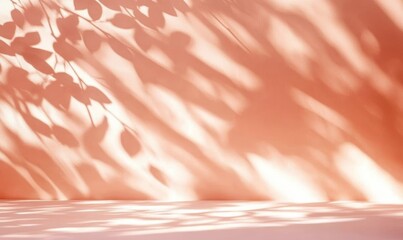 Leinwandbilder - Minimalist Peach Wall with Sunlight and Shadow for Creative Design Background