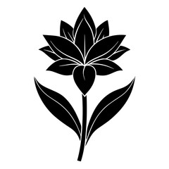Wall Mural - black and white flower