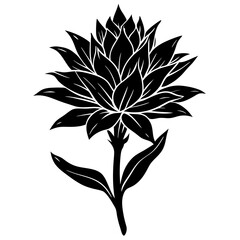 Wall Mural - black and white flower
