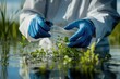 © Serhii - Marine Scientist Examining Water Test Results and Algae Samples for Conservation Insights