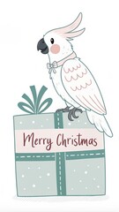 Sticker - cute cartoon cockatoo with gift box merry christmas background