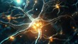 © Maryna - Complex neuron network. Detailed view of nerve cell. Brain cells activity. Medical science illustration shows nervous system structure. Neural pathways glow. Advanced medical technology concept.