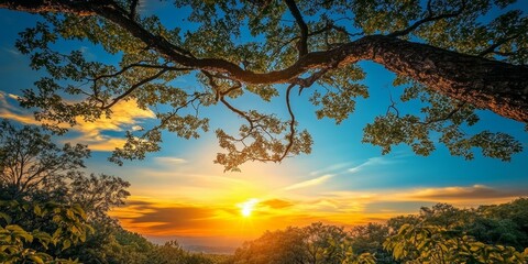 Aufkleber - Captivating image showcasing the beauty of nature with a stunning blue sky and vibrant sunset. This landscape features tree branches and green foliage, perfect for wallpaper or nature photography.