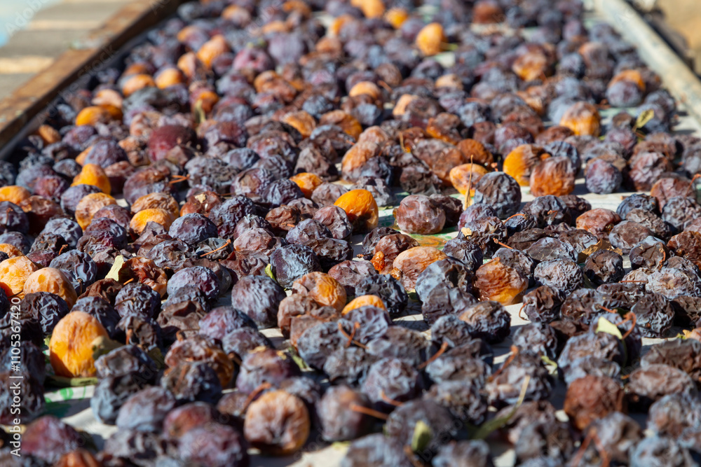 Drying plums under the sunshine according the local traditional manner ...