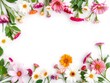 © Chalermrach - Bright and vibrant botanical floral border with vivid flowers creating a frame around a white copy space, top view flat lay composition, white copy space, botanical
