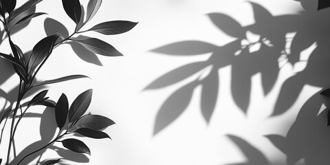Leinwandbilder - Shadows of plants cast on a white wall create a captivating visual effect, showcasing the intricate details of shadows of plants in a minimalist setting.
