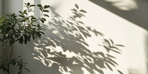 Leinwandbilder - Shadows of plants cast on a white wall create a captivating visual effect, showcasing the intricate details of shadows of plants in a minimalist setting.