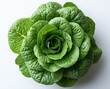 © ore - Lettuce Rose Overhead view of a vibrant green lettuce head arranged in a rose shape, showing its texture and fresh dewy leaves against a white background.