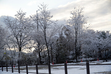 Wall Mural - Mount Bukhan in the First Snow