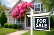 © miss irine - Home for sale sign in front of attractive house with blooming pink flowers in spring season. Real estate property listing in residential neighborhood. Great opportunity to buy new home make
