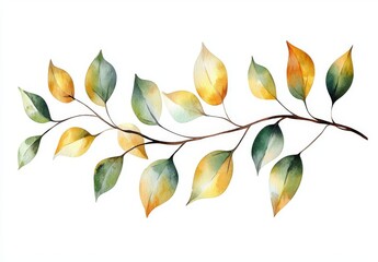 Fototapete - A solitary watercolor artwork depicting greenery branches, leaves, twigs, and forest herbs, suitable for wedding invitations, frames, and wreaths.