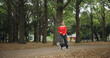 © peopleimages.com - Park, woman and smile with walking dog for exercise, health and bonding in Japan. Outdoor, forest and person as pet owner with animal for friendship, love and care with happiness for adoption
