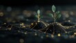 © -SAYONARA- - Sprouts marking the beginning of innovation