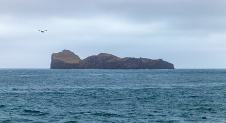 Wall Mural - Bjarnarey, Vestmannaeyjar island. Natural landscape of Iceland