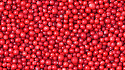 Wall Mural - Seamless tileable background of ripe red cranberries in close view