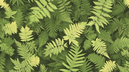 Wall Mural - A dense arrangement of various green ferns creating a lush, natural pattern.