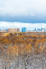 Wall Mural - large blue cloud over snow-covered city park