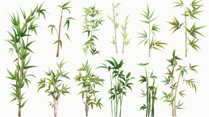  bamboo leaves background