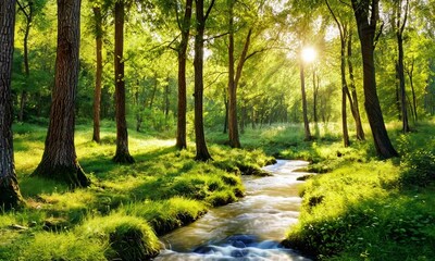 Wall Mural - A serene forest scene with sunlight filtering through trees, illuminating a gentle stream surrounded by lush greenery.