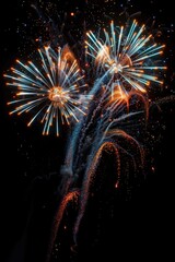 Wall Mural - a burst of colorful fireworks lighting up the dark night sky