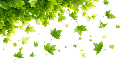 green leaves flying in the air over white background