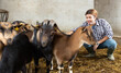 © JackF - Middle aged male farm worker feeding goats in farm