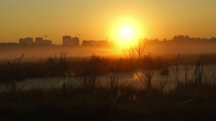 Wall Mural - sunset over the river