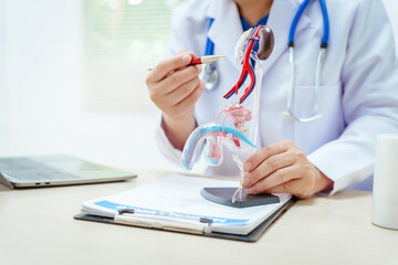 A male doctor sits at a desk in a hospital, discussing male urinary tract models and conditions like enlarged prostate, prostatitis, cystitis, urinary tract infections.Early diagnosis aids effective