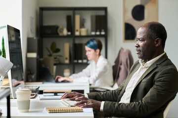 Poster - Side view of elegant mature male office manager looking at screen of desktop computer while analyzing financial data