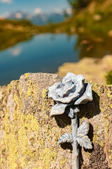 Wall Mural - Details of a stone rose at Mount Goldried, Matrei, Eastern Tyrol, Austria