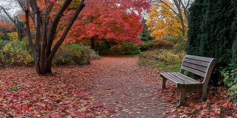 Wall Mural - A vibrant autumn park background with a tree-lined path covered in red and orange leaves. A wooden bench sits to the side, surrounded by colorful foliage. The setting feels cozy and nostalgic, ideal
